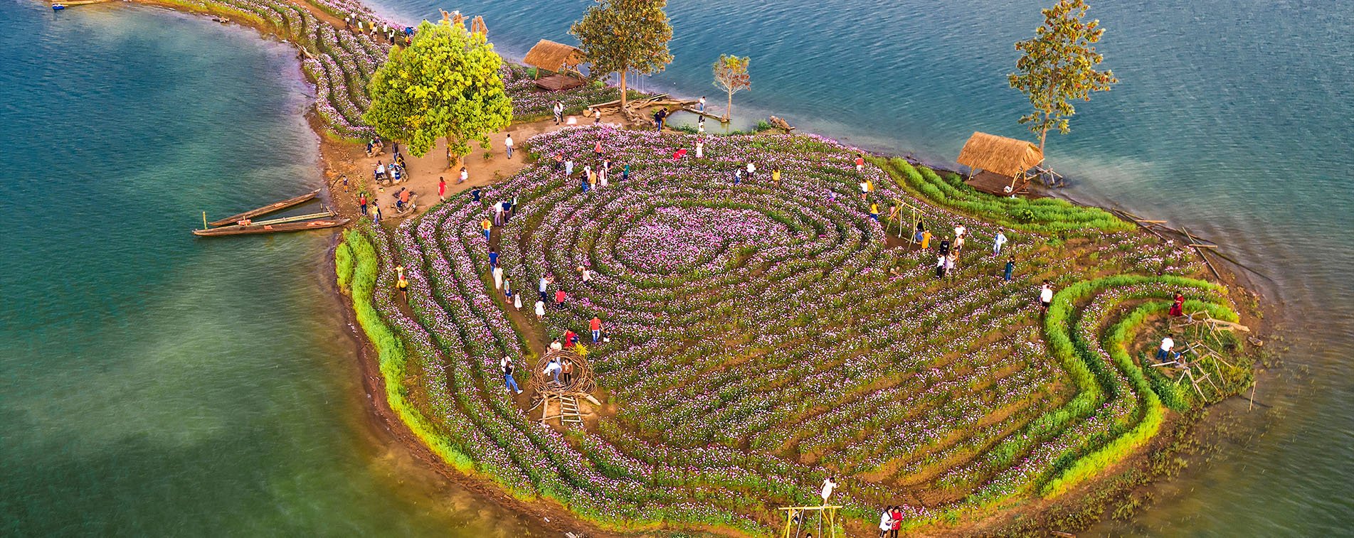 Đảo hoa ở Kon Trang Long Loi- Tác giả: Ban Nguyễn